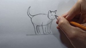 КАК НАРИСОВАТЬ КОШКУ ЛЕГКО,РИСУНОК КОШКИ.