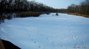 трудовая охота на бобра.февраль