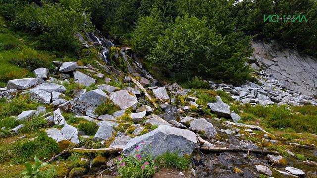 Оставь то, что тебя не касается - Исмаил Абу Мансур смотреть онлайн