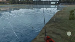 Ловим Окуня в Ultimate Fishing Simulator