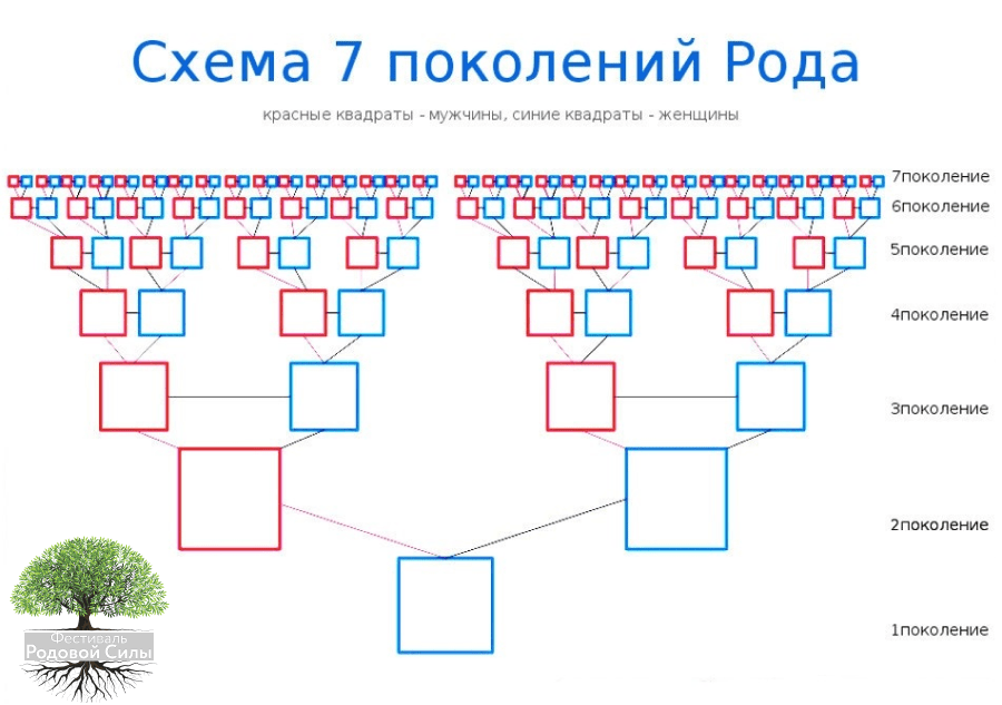 Род и индивидуальность: Как наша генетика формирует наше поведение и личностные черты