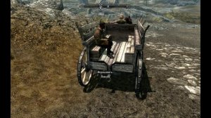 Skyrim  Прикол 10