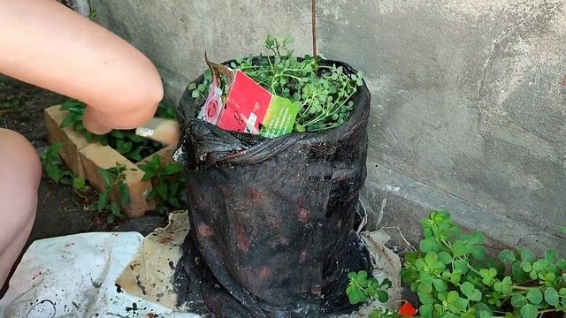 Легко украшаем ведро для цветов / Быстрый декор уличного вазона