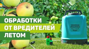 ИСПОЛЬЗУЮ ЭТОТ ПРЕПАРАТ ОТ ВРЕДИТЕЛЕЙ ЛЕТОМ. Безопасный и эффективный