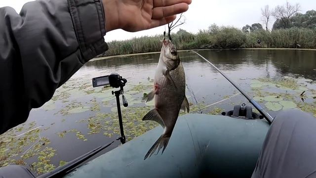 ОТ ЭТИХ ПОКЛЕВОК ДУХ ЗАХВАТЫВАЕТ! рыбалка на удочку с боковым кивком в кувшинках смотреть онлайн