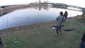 Ловля Язя ,весной, на донку на червяка выползка