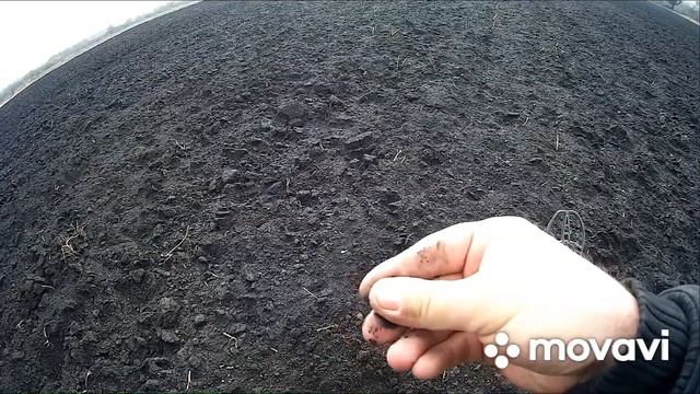 День советов!Day of advice! смотреть онлайн