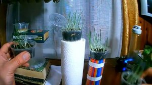 Эффект полостных структур   ЧАСТЬ - 3