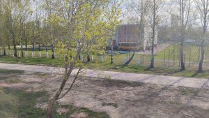 Пение прекрасных птиц в деревне Березина Унечский район Брянская область.