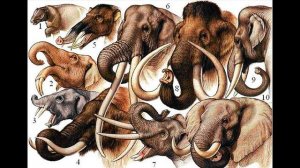 Можно ли воскресить мамонта? Все научные факты!!!