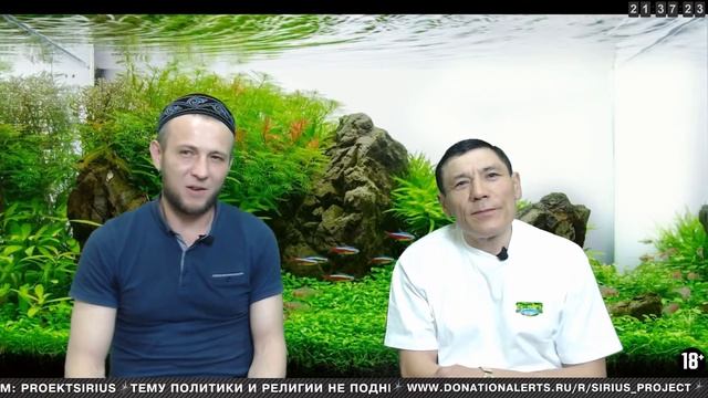 Прямая трансляция пользователя Проект Сириус Трансляции. Тюрьма. Зона. Лагерь смотреть онлайн