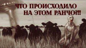 СКИНУОКЕР: ИСТОРИЯ ПРОКЛЯТОГО РАНЧО