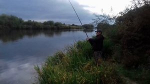 Ловля сазана.  Река  Быстрая Сосна.  (LiveFishing)