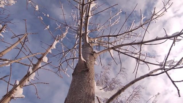 Самарская Лука. Природный заповедник.