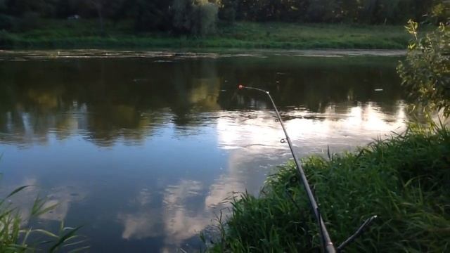 Поклёвка плотвы на боковой кивок. Ловля на течении. смотреть онлайн