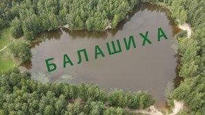 Балашиха?