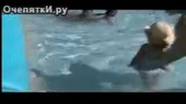 Волшебная горка с какашкой смотреть онлайн