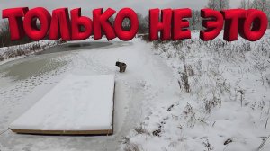 КАК ЖЕ ОН МЕНЯ НАПУГАЛ ! ВОТ ЭТО Я ПОНИМАЮ КУРЯТНИК ! [Жизнь в деревне]