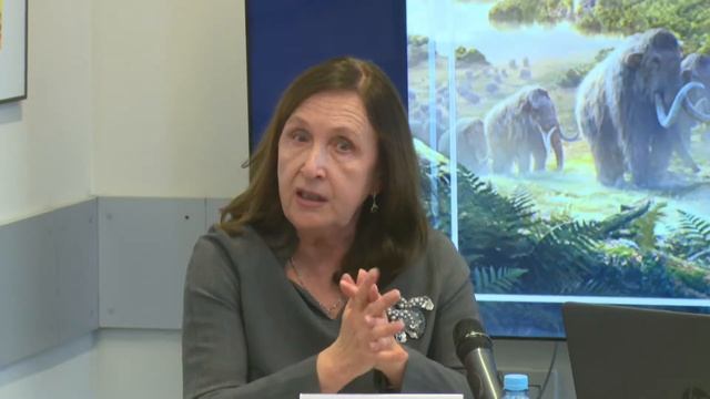 Пресс-конференция музея-заповедника «Костенки» смотреть онлайн