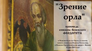 "Зрение орла". Епископ Венёвский Феодорит.