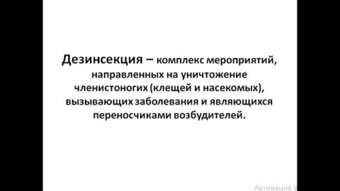 Оказываем услуги дезинсекции, дезинфекции и дератизации в Уфе.