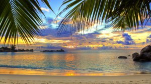 Красивая природа