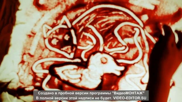 Д.Н. Мамин-Сибиряк Серая Шейка смотреть онлайн