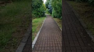 обзор Санаторий Юг г.Сочи (Лазаревское)