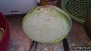 ✔Шок! Куры Перестали Нести Яйца,Что Делать?//Добавки для Яйценоскости//Почему КУРЫ Перестали Нестис