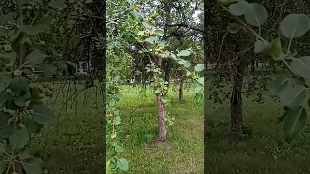 Про эксперимент. Консультации смотреть онлайн