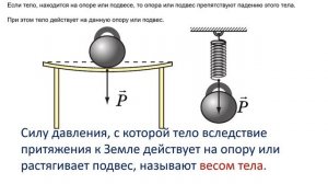 7  класс урок №24  Явление тяготения и сила тяжести.  Вес тела.