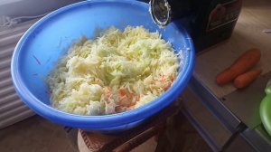 Как вкусно и полезно кормить охотничью собаку!