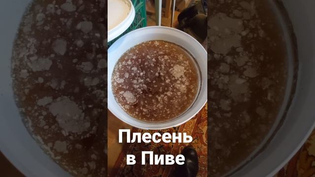 Плесень в пиве,что делать?