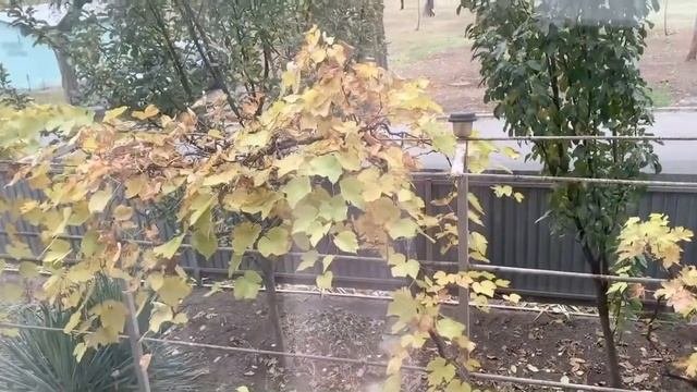 Недвижимость Мариуполь. Риелтор Мариуполь. Продажа 3х комнатной квартиры в Кальмиусском районе.