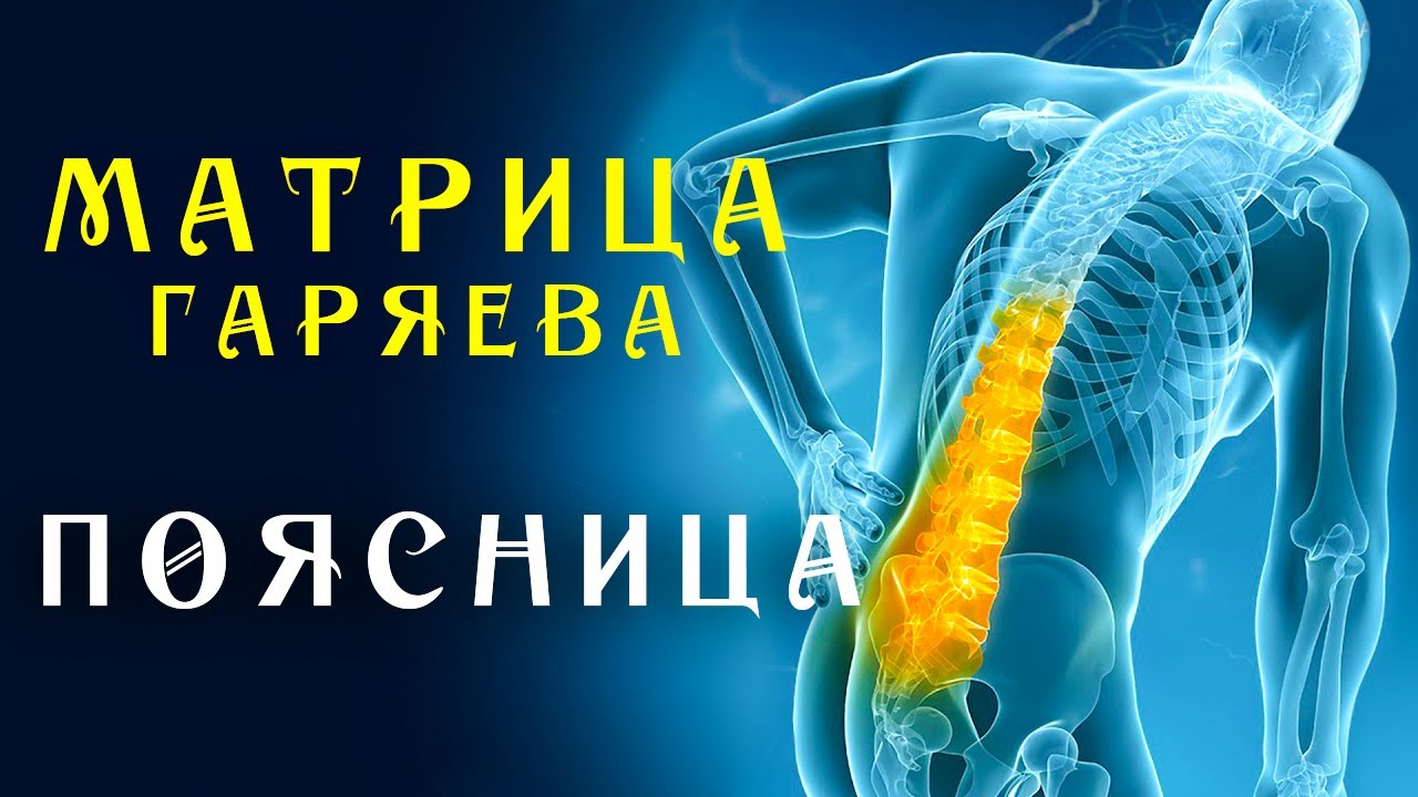 Матрица Гаряева для поясницы - восстановление ☀️ SoftRadio.ru