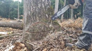 Валек дерева Бензопилой Stihl MS 361