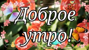 Доброе утро! Самое Красивое пожелания Доброго утра, Чудесного дня! Пусть Этот День Будет Лучший и...