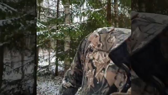 Сбор грибов в снежном лесу