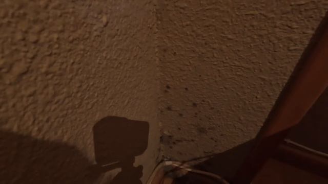 УЕЗЖАЕМ ДОМОЙ! Неприятности в квартире( Плесени стало больше! смотреть онлайн