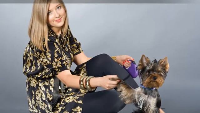 Курсы фотографии и фото в Киеве смотреть онлайн