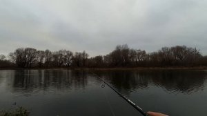 Ловля Щуки на Живца с Берега!Рыбалка на Оке! Живец или воблер?