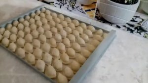 РАБОТА НА ДОМУ. ГОТОВИМ ПЕЛЬМЕНИ НА ПРОДАЖУ