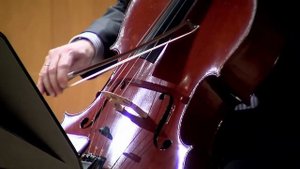 Valerius Ensemble speelt Guillaume Lekeu: Quator (inachevé)