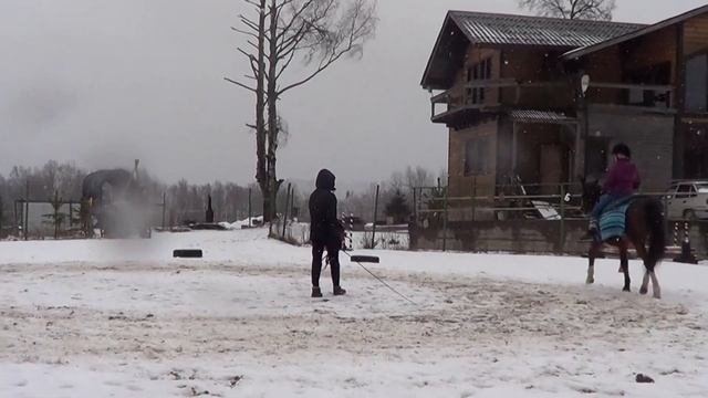 Детская учебная вольтижировка. смотреть онлайн