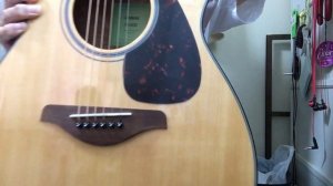Yamaha FS 800　Yaco