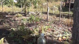 ЛЕБЕДИ РЕЦЕПТ ПАЛЬЧИКИ ОБЛИЖЕШЬ