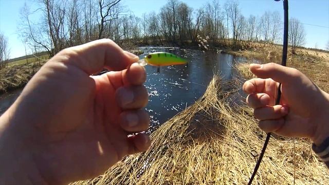 Ловля ручьевой Форели. Удалось взять рыбку. Охота на Форель на небольшой реке. смотреть онлайн