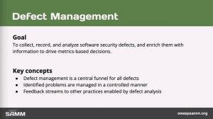 Defect Management №8