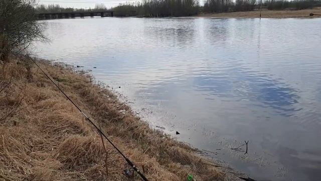 "@"Рыбалка в Нижневартовске 16.05.2022 год