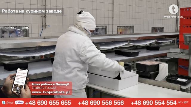 Куриный завод в Польше. Как выглядит работа. #РаботавПольше #куриныйзавод #работанакуриномзаводе